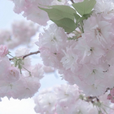 Furry插画氛围提升Furry群